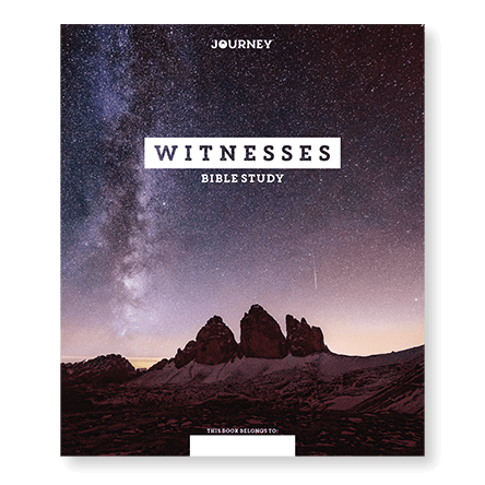 Journey: Witnesses